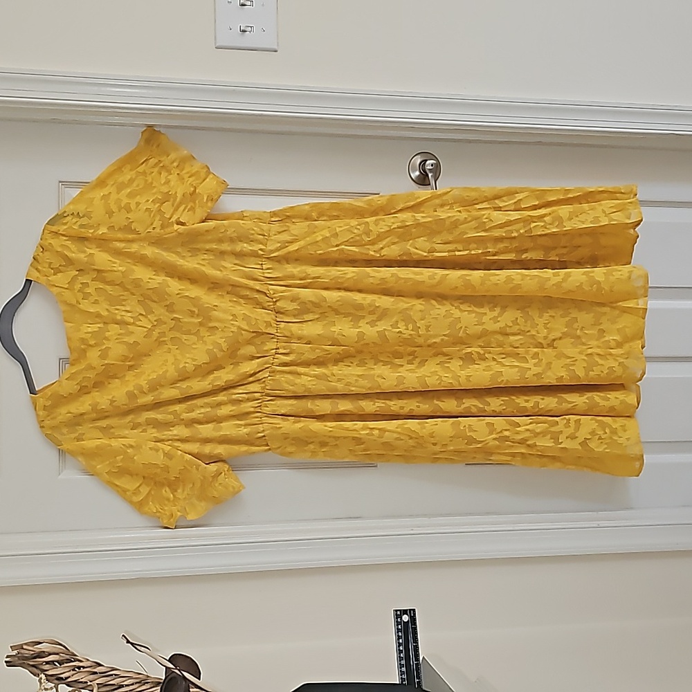 Agnes Elegant gold dress wear office wear career business casual